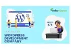 Top-Rated WordPress Development Company