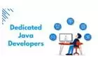 Dedicated Java Developers