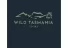Discover the Wineglass Bay Tasmania Tours