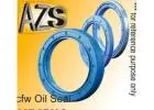 Buy CFW Oil Seal | A2Z Seals for Industrial Use
