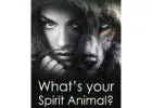 Discovering Spiritual Truths: Animals as Messengers with a Healer Nearby【✚２７７２５７７０３７６】